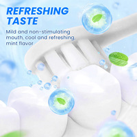 FEO Vente en Gros Dentifrice sans Fluorure, Mousse pour l'Élimination des Odeurs Buccales, Pâte de Dents Naturelle à la Menthe Verte, Dentifrice Biologique