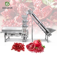Granaatappel-scheider-verwerkingslijn, crusher, aril-machine, granaatappelzaad-scheider-machine