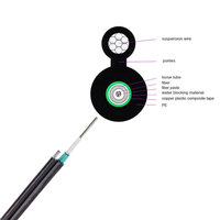 Cable de Fibra Óptica Aéreo Autoportante GYXTC8S en Forma de 8, 2-12 Hilos, para Exteriores, Blindado, con Tubo Central Suelto, Cable de Bajada FTTH