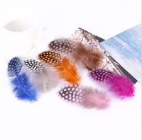 Teinté rouge couleur 50pc ploybag plume de guinée pour bricolage artisanat cheveux Costume accessoire de pêche mouche attachant ornement rêve frange décor