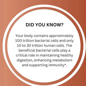 ओएम ओडम कस्टम 3 ग्राम उच्च प्रतिशत प्रोबायोटिक्स पाउडर स्टिक पूरक जीएमपी प्रमाणित पोषण पूरक - Product Image 6