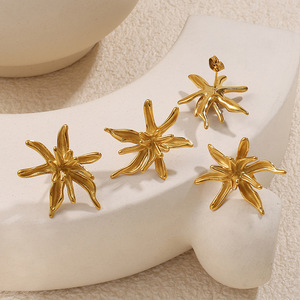 Boucles d'oreilles clous en acier inoxydable plaqué or 18 carats, design irrégulier pour femmes - Product Image 1