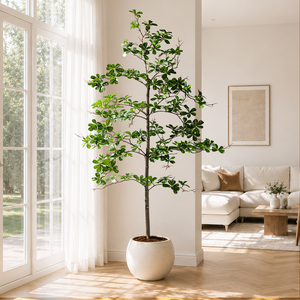 Albero di Ulivo Artificiale Nero Alto 2,10 m, Finto in Plastica, Effetto Ombreggiato, in Vaso, Ecologico e Durevole, per Casa e Compleanni - Product Image 2