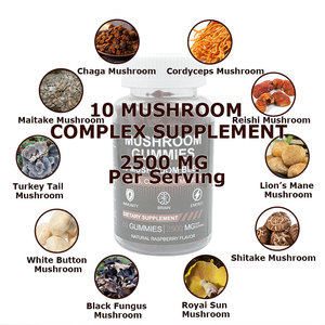 เยลลี่เห็ดสูตรเฉพาะสำหรับ OEM/ODM แบรนด์ส่วนตัว ผสมเห็ด 10 ชนิด 2500 มก. พร้อมเห็ดหลินจือ, เห็ดถั่งเช่า, เห็ดชิตาเกะ, เห็ดหลินจือขาว - Product Image 3