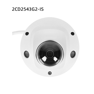 <span class=keywords><strong>DS</strong></span>-<span class=keywords><strong>2CD2543G2</strong></span>-<span class=keywords><strong>I</strong></span>(WS) การเชื่อมต่อ Wi-Fi ดั้งเดิม4MP การตรวจจับมนุษย์/ยานพาหนะไมค์ในตัวกล้องโดมมินิคงที่ - Product Image 1