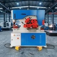 Machine de découpe et de poinçonnage hydraulique multifonctionnelle de précision, machine intégrée de découpe de profilés et de poinçonnage