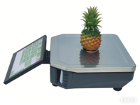 Balance intelligente tout-en-un ATP170B 15,6 pouces avec écran tactile double, écran tactile intelligent, balance de pesée, argent/noir, qualité alimentaire pour supermarché