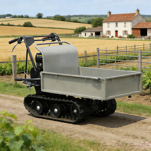Mini-dumper chenillé <span class=keywords><strong>à</strong></span> moteur essence pour jardin, fabriqué en Chine, <span class=keywords><strong>à</strong></span> vendre - Product Image 1