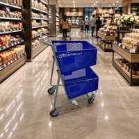 Chariot de courses pliable à 2 niveaux en acier DIKA DK-PT-4 avec roues pour utilisation en supermarché