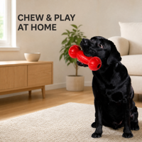 Jouet à mâcher pour chiot, nouvelle mode, durable, best-seller, pour la dentition et l'utilisation en extérieur, jeu interactif et nettoyage des dents
