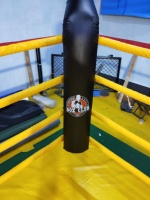 Location de ring de lutte de haute qualité, ring de boxe personnalisé, ring professionnel de MMA de taille 6m*6m pour l'entraînement de lutte