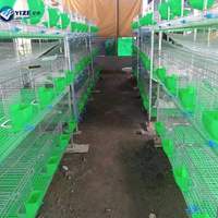 Cage à lapins en métal de haute qualité / Cage à lapins en aluminium construite au Kenya Ferme 18 portes Prix plus bas