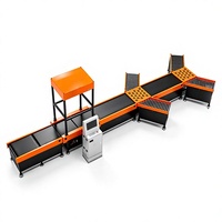 Nouveau système de tri et de convoyage intelligent entièrement automatisé pour entrepôts logistiques e-commerce, trieur de convoyeur DWS, 99,7 % de codes-barres