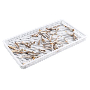 <strong>Large</strong> Capacity Vented Stackable <strong>Plastic</strong> Versatile Drying <strong>Trays</strong> for Softgel Capsule / Gummy / Seafood / Fruits / Vegetable Drying - Product Image 1