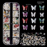 Décorations d'ongles Papillon Aurore 3D en résine, 12 compartiments, mélange de fragments et perles, accessoires pour ongles