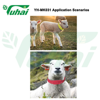 Sapi, domba, dan kuda dapat membedakan dengan gaiter warna pilihan dengan tali leher dan kerah kambing