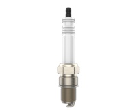 Bougies d'allumage pièces de moteur 3016663 479 7702 pour 7306 0242356504(MR3DPP330) 7301 4302738 et 0242356509