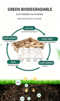 Sérum pour Soins de la Peau Personnalisé, Design Personnalisé, Écologique, Biodégradable, Fermeture Magnétique Étanche, Logo Personnalisé, Taille Personnalisée