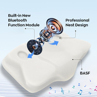Oreiller orthopédique moderne en mousse à mémoire de forme pour dormir, soutien cervical réglable, design respirant et doux pour la peau, certifié OEKO-TEX