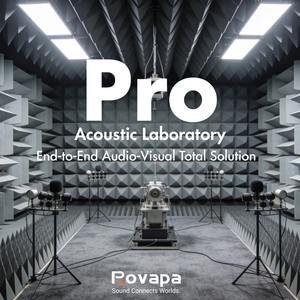 Subwoofer PA ROVAPA 15" 500W : 35-1000 Hz, Sensibilité 98 dB, SPL 125 dB, Caisson en Bouleau 18 mm, Double NL4 pour Basses de Bar/Discothèque/Salles Polyvalentes - Product Image 3