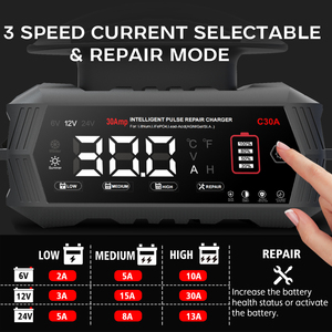 <span class=keywords><strong>Cargador</strong></span> Inteligente de Baterías para Auto y Moto de 30A, 6V/12V/24V, para Baterías de Litio LiFePO4 y Plomo-Ácido <span class=keywords><strong>AGM</strong></span> - Product Image 4