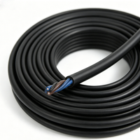 Câble de chaîne porte-câbles TRVV en cuivre pur, ignifuge, haute flexibilité, résistant à la chaleur, multiconducteurs, indice de protection IP68, 500V, usage industriel