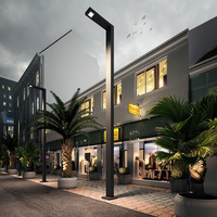 Lampadaire solaire LED IP66, éléments de construction, éclairage de parking étanche, éclairage paysager moderne, fabricant d'éclairage extérieur