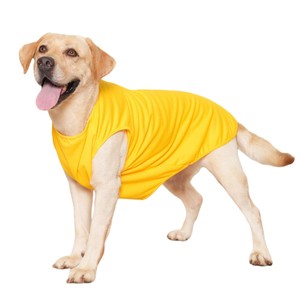 T-shirt pour chien en coton uni à bas prix, respirant, vêtements <span class=keywords><strong>d</strong></span>'<span class=keywords><strong>été</strong></span> et de printemps pour chiens, t-shirts vierges pour chiens pas chers en provenance de Chine - Product Image 1