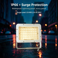 Illuminateurs LED pulsés à lumière blanche 36W IP66 pouvant être synchronisés avec le déclencheur de la caméra de sécurité CCTV
