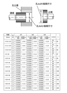 डबल साइडेड गो नो गो गेज स्मूथ एच 7 प्लग गेज माप उपकरण फीलर गेज मोल्ड माप के लिए - Product Image 6