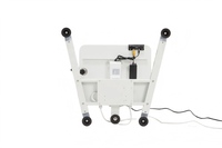 Table de toilettage électrique pour animaux de compagnie YM-AW-202, télécommandée, en acier inoxydable, silencieuse, avec charge sécurisée, mode mémoire et levage électrique