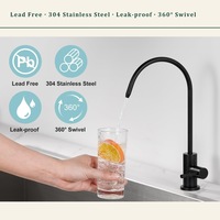 Robinet de cuisine moderne en acier inoxydable noir avec filtration d'eau, purificateur d'eau potable pour évier, facile à installer, direct usine