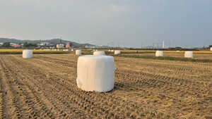 Película para Envolver Ensilaje 75cm*25mic*1650m, 7 Capas, Protección UV, 14 Meses, Anti-Pájaros e Insectos, Película para Envolver Pacas Agrícolas, Fábrica Sinyar - Product Image 1
