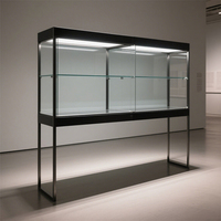 Nouveauté : Vitrine autoportante moderne à LED intégrée pour la présentation de bijoux et de collections de pièces de monnaie - Protection antistatique