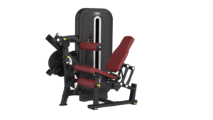 Machine à double fonction de qualité supérieure à charges réglables pour salle de sport commerciale - Product Image 5