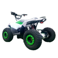Quad ATV à essence 49cc à démarrage électrique, 2 temps, ABS, acier inoxydable, fabriqué en Chine, avec certification CE, pour enfants, en vente flash