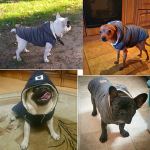 Ropa de invierno para mascotas, abrigos acolchados de animales pequeños de diseñador - Product Image 6