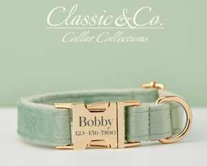 Saegreen Veet personalizado Do Collar Bow Tie Leash Set, personalizado Enraved Pet Name Metal Buckle, cumpleaños cachorro regalo, gratis - Product Image 2