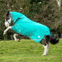 Couverture d'hiver imperméable et résistante aux déchirures pour cheval, avec cache-cou, de couleur verte, fabriquée par le fabricant d'origine, en gros.