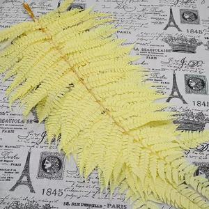 Decorazione per la casa in stile nordico foglia di felce conservata usata san valentino e decorazione di nozze - Product Image 6