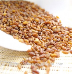 ชาโซบะพรีเมียมรสขม ชาบัควีทอบแห้ง เมล็ดฟโกปีรัม ทาทาเรียมอบแห้งสำหรับขาย - Product Image 2