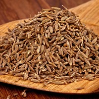Graines de cumin aromatiques de qualité supérieure, pour la cuisine et l'industrie alimentaire, masala, origine Bengale occidental, durée de conservation de 12 mois, huile essentielle M.D.