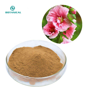 BCI cung cấp bán buôn tinh khiết tự nhiên Marshmallow lá Marshmallow chiết xuất từ rễ bột Hollyhock 10:1 - Product Image 1