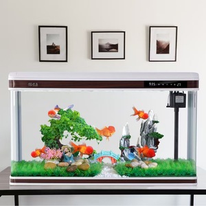 Écosystème de bureau intelligent <span class=keywords><strong>Aquarium</strong></span> de poissons rouges pour salon Utilisation domestique Réservoir en verre moyen à grand Pas besoin de vidage d'eau - Product Image 5