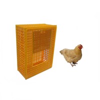 Poulet vivant transport cage poussin boîte de chiffre d'affaires en plastique de la volaille caisse de transport pour canard pigeon HJ-DN016