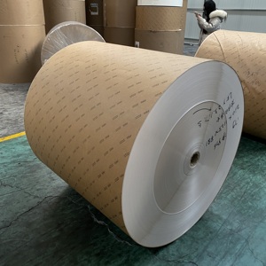 ม้วนกระดาษเคลือบ PE ด้านเดียวสำหรับถ้วยกระดาษ240gsm กว้าง820มม. 805มม. - Product Image 6