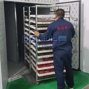 Business Fruit Chips Dryer Avocado Orange Tomato Papaya Drying Machine Fruit Drying Equipment - Product Image 6