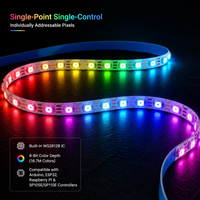 Bande LED RVB adressable ZY WS2812B 5V SMD programmable à contrôle ponctuel, étanche, boîtier métallique, fil doré -25°C +85°C