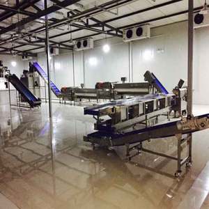 Eğimli plastik modüler bant konveyör Z tipi plaka zincirli konveyör gıda sınıfı bant konveyör - Product Image 6