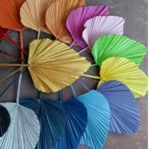 Feuilles de palmier séchées naturelles, plantes de pampa teintes et préservées, fleurs séchées en gros, grandes fleurs séchées pour mariage, décoration bohème à la maison - Product Image 6